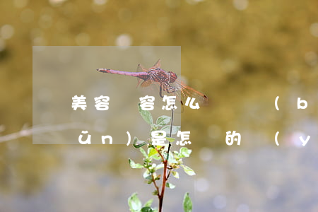 美容毀容怎么賠償標(biāo)準(zhǔn)是怎樣的（醫(yī)療美容糾紛有哪些）