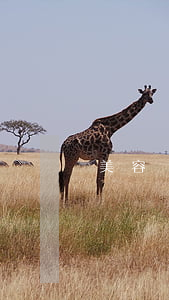 美容貸被騙逾期五年了（美容貸款逾期的后果）