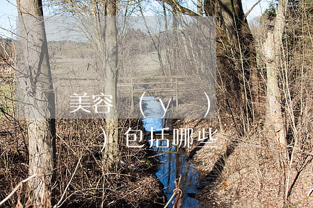 美容醫(yī)療糾紛適用法律法規(guī)包括哪些