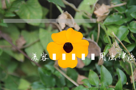美容醫療糾紛適用法律法規包括哪些