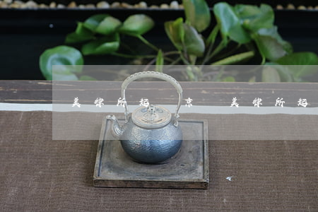 美律所起訴京東(美律所起訴京東案件)