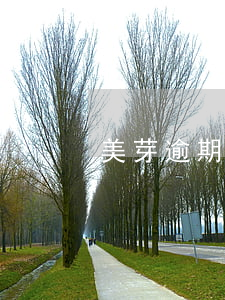 美芽逾期能不能辦信用卡