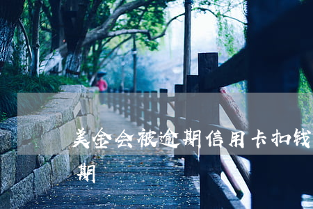 美金会被逾期信用卡扣钱吗知乎(美元账单逾期)