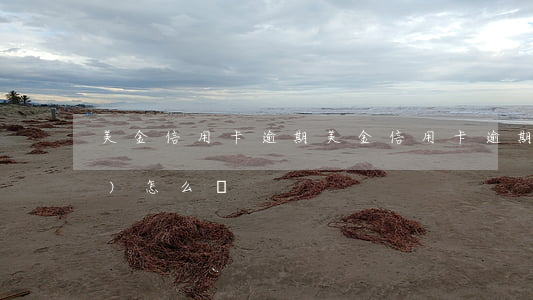 美金信用卡逾期(美金信用卡逾期會(huì)怎么樣)