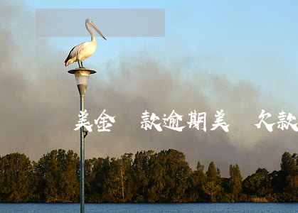 美金還款逾期(美國欠款逾期怎么催收)