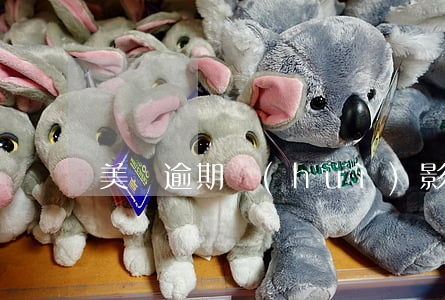 美顏逾期會(huì)影響白條嗎