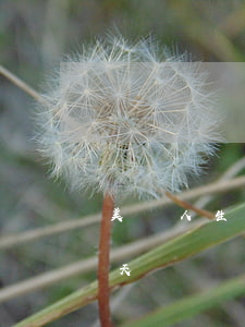 美麗人生貸款逾期一天(美麗人生貸款逾期一天)