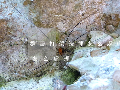 群毆打架法律怎么處理(15歲群毆打架法律怎么處理)
