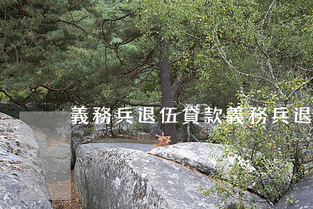 義務兵退伍貸款(義務兵退伍貸款)