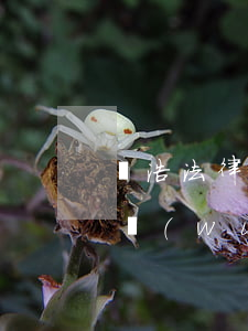 義浩法律事務(wù)所是哪的(義博律師事務(wù)所)