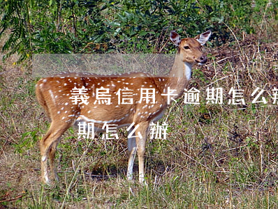 義烏信用卡逾期怎么辦理電話（義烏信用卡逾期怎么辦）