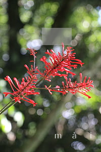 義烏農(nóng)村房子法院可以拍賣(mài)嗎(義烏農(nóng)村房子法院可以拍賣(mài)嗎)