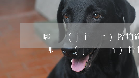 義縣哪個監(jiān)控拍逾期未檢車輛 義縣哪個監(jiān)控拍逾期未檢車輛