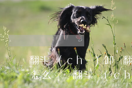 翻斗車(chē)卸貨翻車(chē)事故怎么賠償(翻斗車(chē)側(cè)翻事故原因)