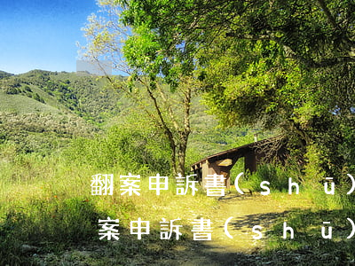 翻案申訴書(shū)怎么寫(xiě)(翻案申訴書(shū)怎么寫(xiě))