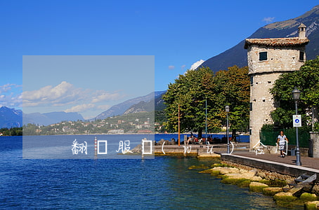 翻譯服務(wù)合同
