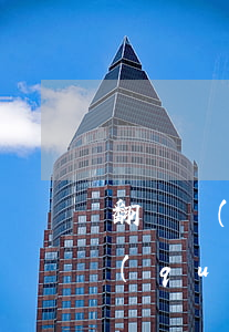 翻譯網(wǎng)絡(luò)小說侵權(quán)嗎