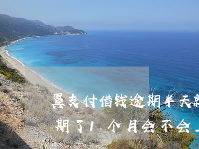翼支付借钱逾期半天就骚扰家人-翼支付逾期了1个月会不会上门爆通讯录