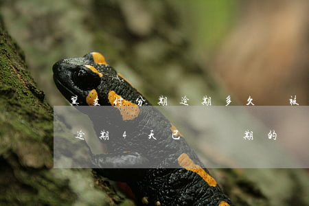 翼支付分期逾期多久會被取消分期-翼支付逾期4天已還當期的還款還需要全款還嗎