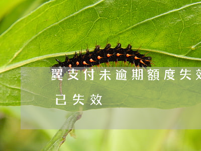 翼支付未逾期額度失效-翼支付有額度顯示已失效