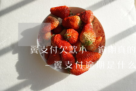 翼支付欠款小額逾期真的會(huì)被告嗎-翼支付逾期是什么意思