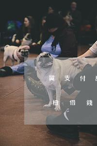 翼支付甜橙借錢要逾期了怎么辦-翼支付甜橙借錢逾期多久走法律程序