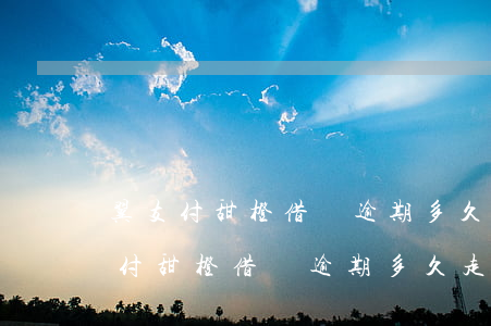翼支付甜橙借錢逾期多久走法律程序-翼支付甜橙借錢逾期多久走法律程序iiiiiiiii