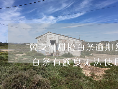 翼支付甜橙白条逾期多久上征信(翼支付甜橙白条有额度无法使用什么原因)