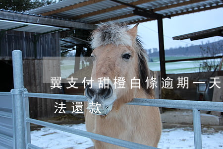 翼支付甜橙白條逾期一天(翼支付甜橙白條無法還款)