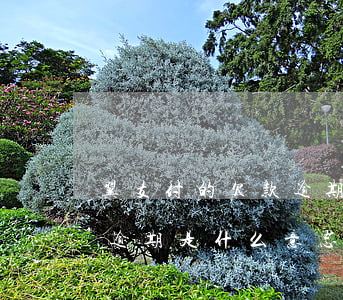翼支付的欠款逾期了会有什么后果-翼支付逾期是什么意思