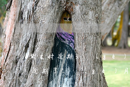 翼支付逾期3個(gè)月起訴嗎-翼支付逾期了1個(gè)月會(huì)不會(huì)上門(mén)爆通訊錄