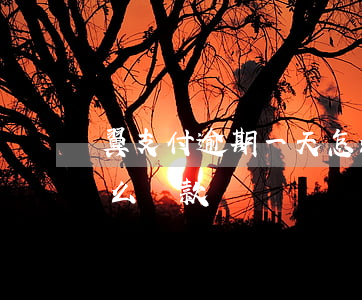 翼支付逾期一天怎么還款(翼支付逾期一天怎么還款)