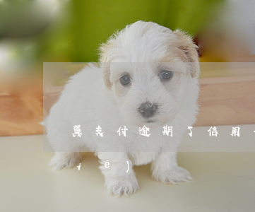 翼支付逾期了信用卡會(huì)凍結(jié)嗎