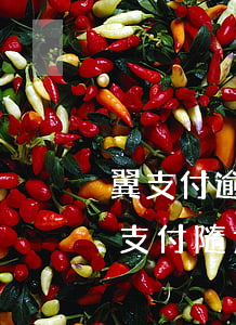 翼支付逾期幾個(gè)小時(shí)（翼支付隨意借起訴逾期四百多天了）