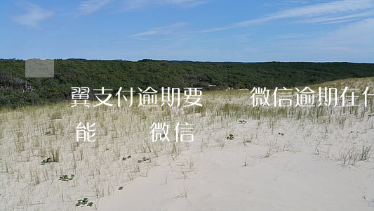 翼支付逾期要凍結微信(逾期在什么情況下才能凍結微信)