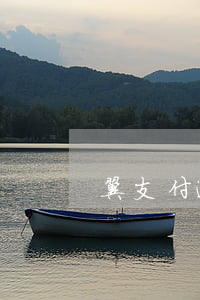 翼支付逾期辦電信卡（翼支付逾期辦電信卡）