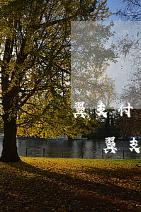 翼支付隨意借逾期可以協(xié)商還款嗎(翼支付可以申請延期還款嗎)