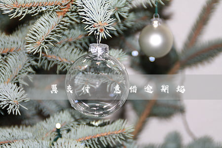 翼支付隨意借逾期起訴