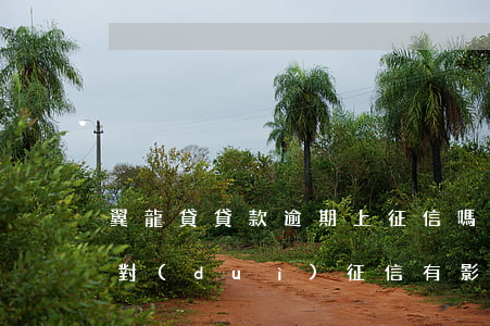 翼龍貸貸款逾期上征信嗎(翼龍貸5年沒還了對(duì)征信有影響嗎)