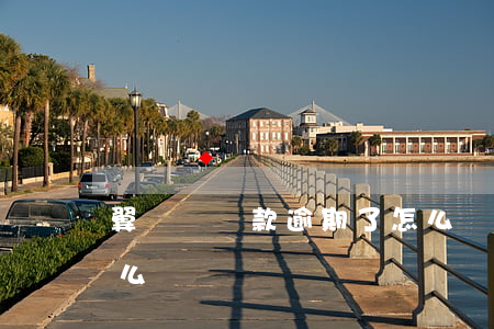 翼龍貸貸款逾期了怎么辦(翼龍貸起訴我會怎么樣)
