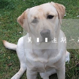 翼龍貸逾期一天多少錢(翼龍貸的利息是多少)