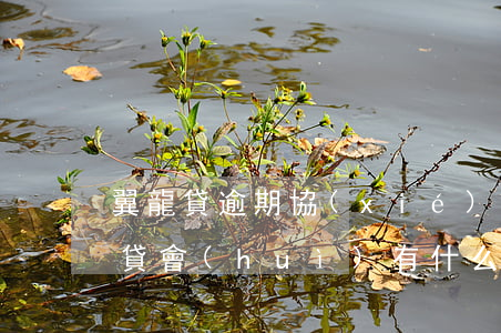 翼龍貸逾期協(xié)商還款(還不上翼龍貸會(huì)有什么后果)
