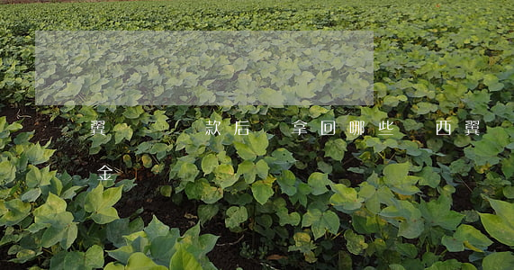 翼龍貸還款后該拿回哪些東西（翼龍貸只還本金）