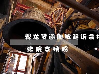 翼龙贷逾期被起诉会拘传吗(网贷翼龙贷起诉法院支持吗)