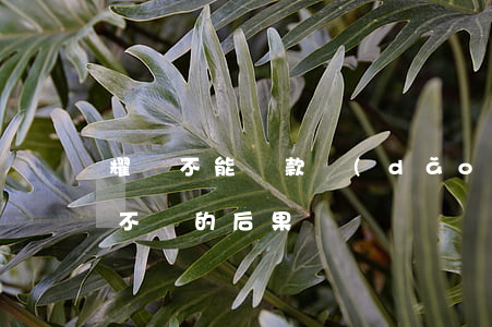 耀貸不能還款導(dǎo)致逾期(貸款逾期不還的后果)