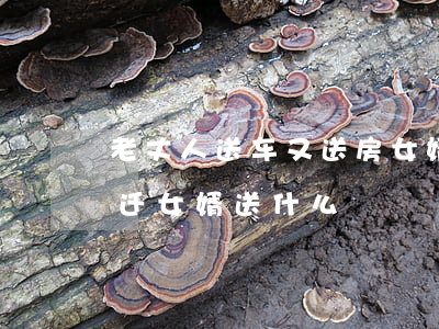老丈人送车又送房女婿死活要离婚(丈人家乔迁女婿送什么)