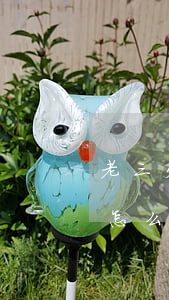 老三欠網(wǎng)貸56萬(wàn)怎么辦(欠網(wǎng)貸三萬(wàn)多)