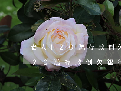 老人120萬存款倒欠銀行13萬-老人120萬存款倒欠銀行13萬怎么辦