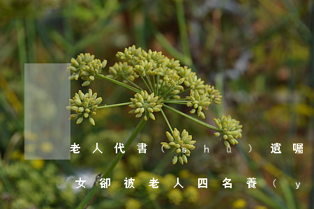 老人代書(shū)遺囑將房子留給侄女，侄女卻被老人四名養(yǎng)子女告上法庭…
