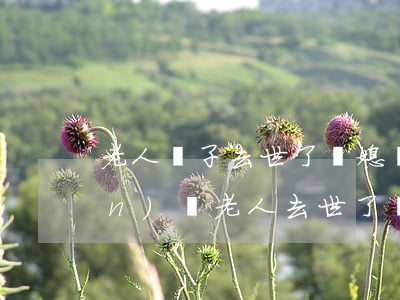 老人兒子去世了兒媳婦能繼承房產(chǎn)嗎(老人去世了孫子怎樣繼承房產(chǎn))